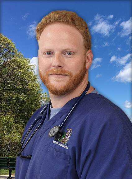 Meet Dr. Bryan Greenberg